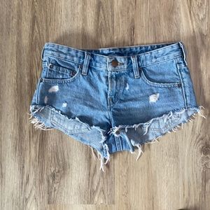 BDG Urban Outfitter Shorts